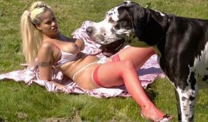 سكس حيوانات HD