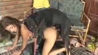 كلب ينيك بنت فرنسية سكسية سمراء جميلة تتناك على زب كلب