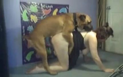 نيك نسوان مع حيوانات كلب ينيك امرأة تحب النيك من الكلاب