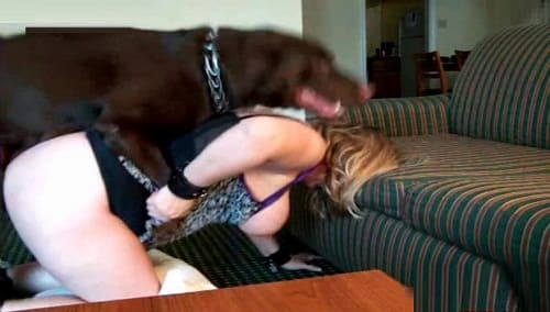 مقاطع سكسي حيوانات جديده نيك نسوان مع كلاب واحصنة