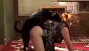 سكس حيوانات زوجه تتناك من كلب سكس حيوانات اون لاين