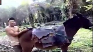 شاب ينيك حمار فيديو سكس حيوانات جديد يضع زبره في طيز الحمار