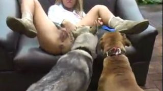 كلبين يلحسوا كس بنت – فيديو سكس حيوان ساخن لعاهرة ممحونه