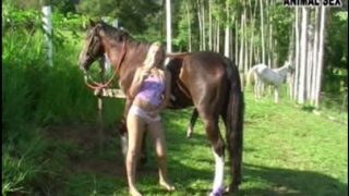 سكس حصان شرس – عاهرة أجنبيه تمارس الجنس مع خيل فحل في الاسطبل