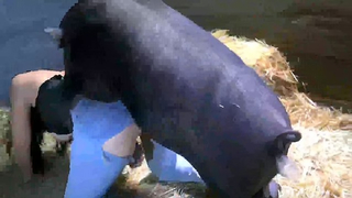 سكس خيانه مع خنزير – الزوجه العاهرة تغش زوجها مع حيوان