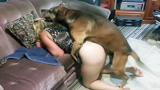 سكس كلاب علي السرير – شرموطه تفتح رجليها لممارسة الجنس مع حيوان
